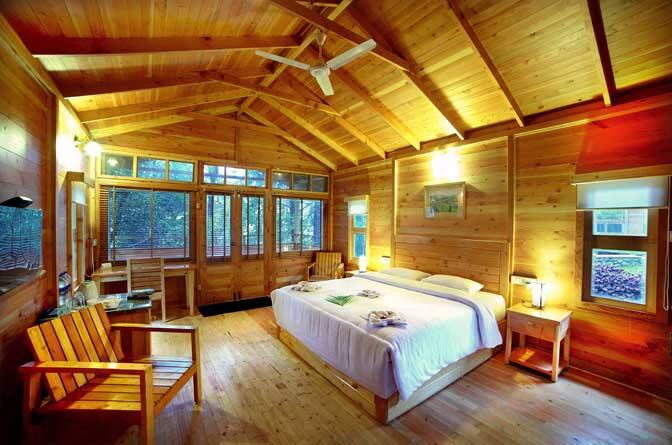 Misty Mountain Plantation Resort, Kuttikkanam 2
